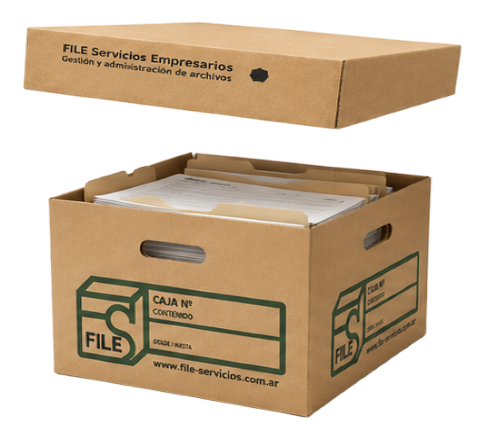 Caja FILE de archivo con documentos en su interior